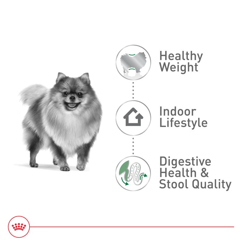 Royal Canin Size Health Nutrition Small Indoor Adult Dry Dog Food, 2.5 lb Bag - Image 4